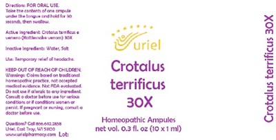 Crotalus Terrificus 30x Ampules (Crotalus Terrificus 30x Ampules)